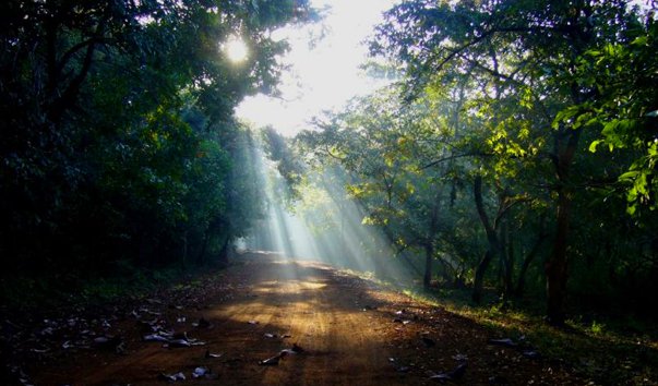Природа Индии: 10 самых красивых мест