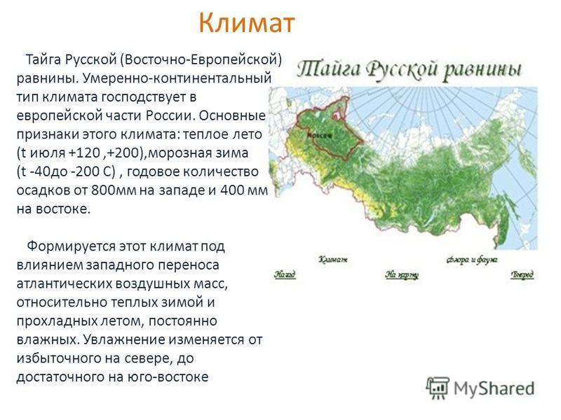 Территория тайги это леса занимающие. Природные зоны России Тайга на карте России. Северная и средняя Тайга географическое положение в России. Климатические зона Тайга Россия на карте. Расположение тайги на территории России.