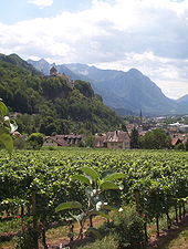 Location Liechtenstein Europe.png