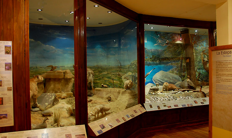 Музей «Патагония» имени Франциско Морено