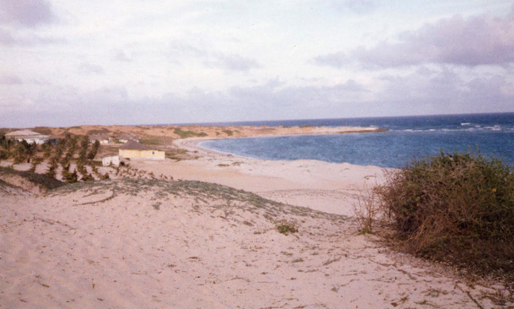 Пляж Синбуси