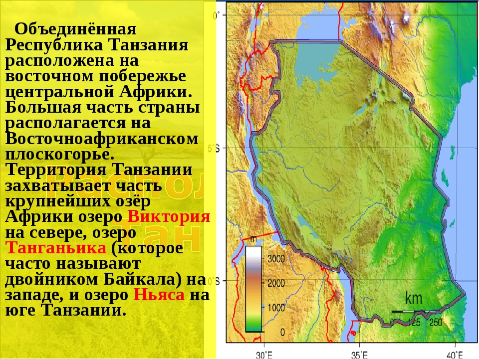 Почему все глубокие озера расположены восточной африки. Проект на тему национальный парк в Танзании. Национальный парк Танзании презентация. Танзания национальный парк проект по географии. Объединенная Республика Танзания.