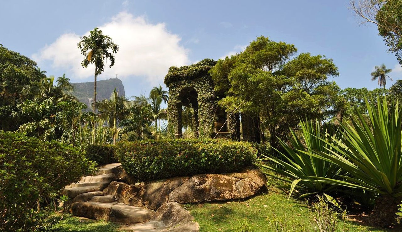 Ботанический сад в Рио