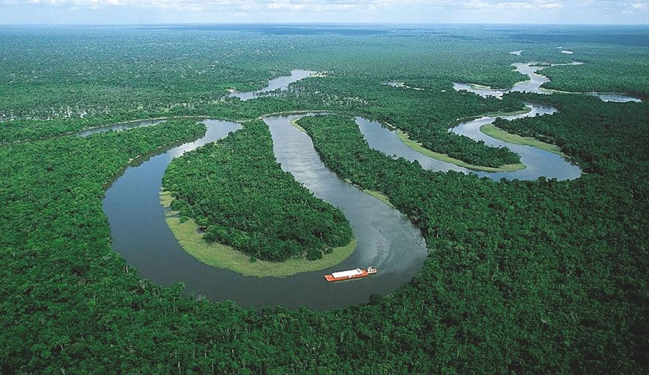 Красавица Амазонка
