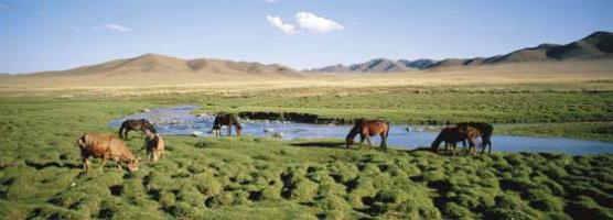 монголия рельеф и климат