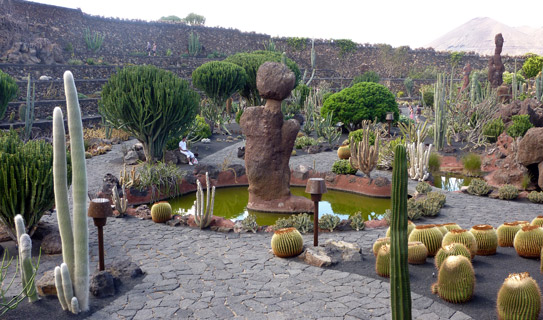 Кактусовый сад (Jardin de Cactus)