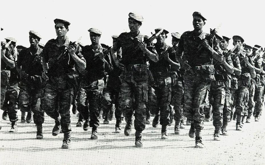 ​Бойцы ПОЛИСАРИО на параде. 1995 год. wikiwand.com - Западная Сахара: страна за Стеной 