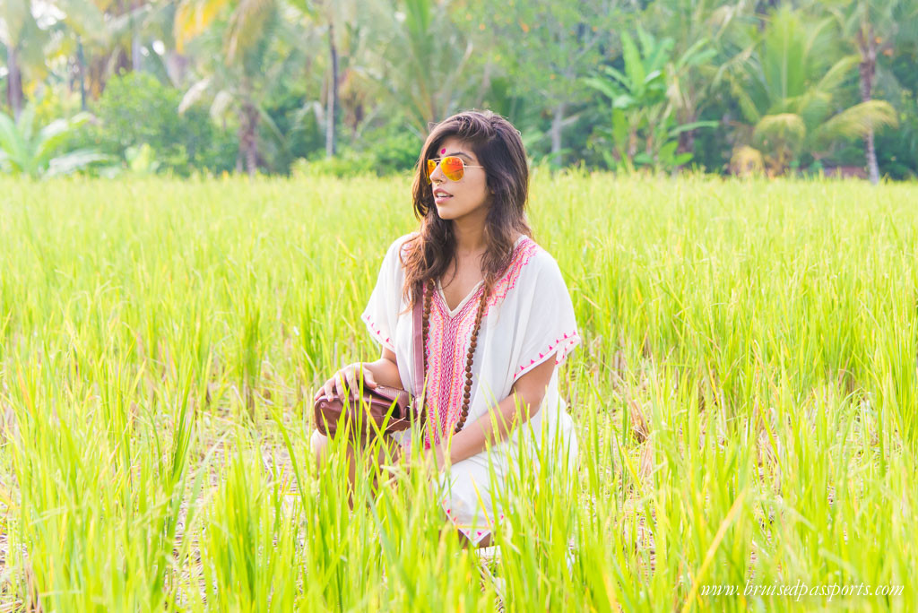Walk through paddy fields to reach Sari Organic