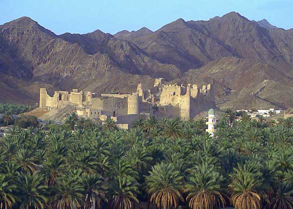  IGDA/C. Sappa     ОАЗИС близ крепости бала в Омане