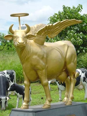 Священная Индийская Корова
