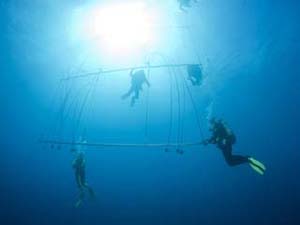 Divers Decompress with Oxygen after Deep Dive to a Shipwreck at Decompression Trapeze Device