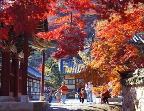Осень в Южной Кореи